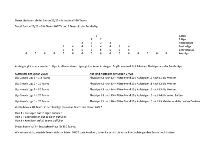 Bild des neuen Ligabaums zur Saison 26/27